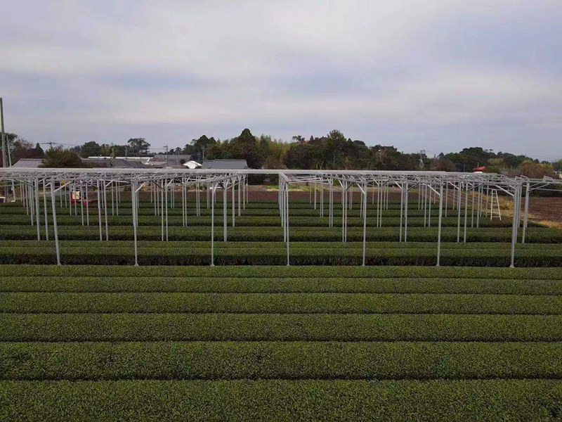 agricultural solar mounting system