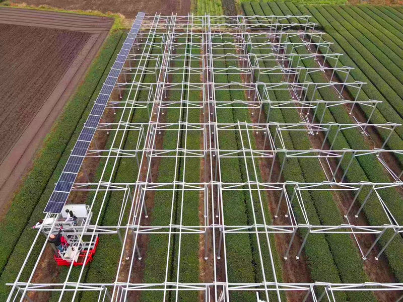 solar farm land agriculture racking mounting system 