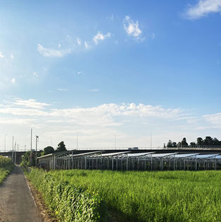 نظام التركيب الكهروضوئي للأراضي الزراعية في اليابان - 1 ميجاوات